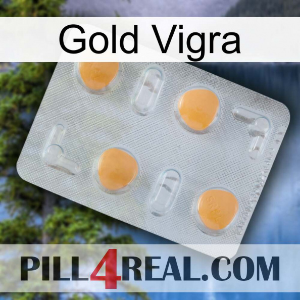 Gold Vigra 24.jpg